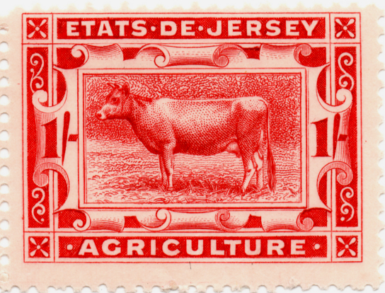 (11) 1/- Carmine (1911)