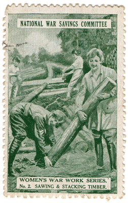 Sawing & Stacking Timber