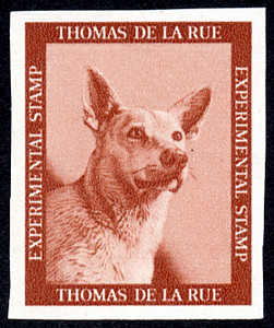 Experimental Stamp